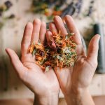 Médecine populaire et lien avec l’environnement