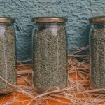 L’art de la phytothérapie : comment cultiver et sécher ses propres herbes médicinales