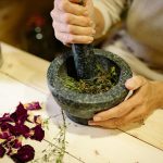 Les 10 plantes médicinales les plus efficaces pour renforcer l’immunité en 2026