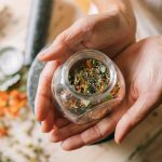 Les plantes adaptogènes utilisées autrefois pour renforcer l’endurance physique
